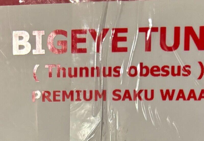 Big eye tuna Saku SSS