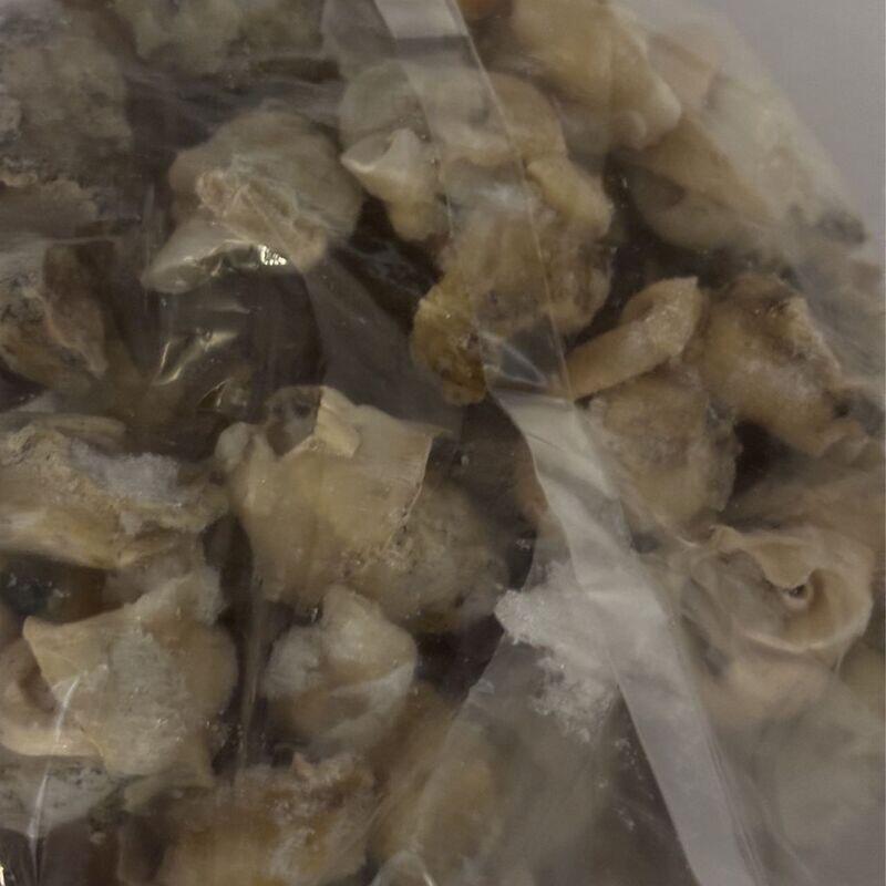 UK Whelk(Boiled)