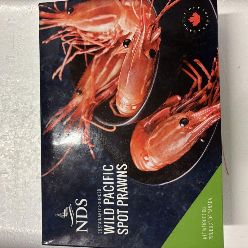 Ama Ebi(sweet shrimp)